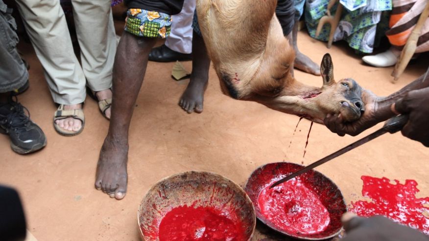 Blood Sacrifices = To Make Sacred - Chief Yagbe Awolowo Onilu