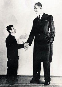 Top 10 Tallest Man In The World