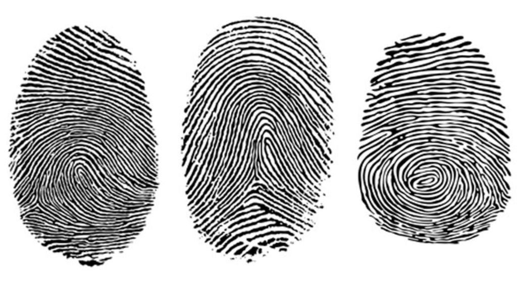 Can Two People Have The Same Fingerprints Science Technology Nigeria