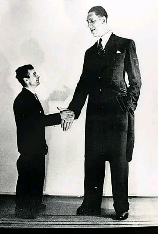 Amazing Pictures Of The Tallest People That Ever Lived - Romance - Nigeria