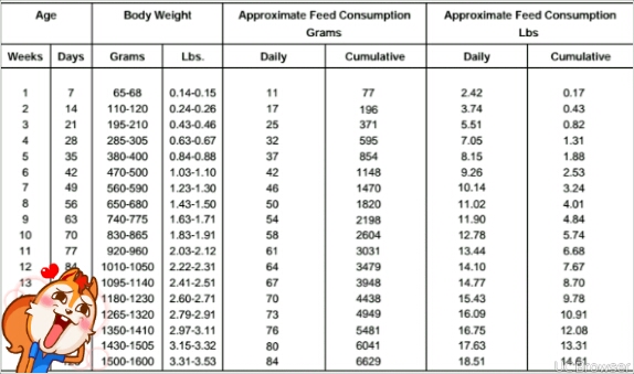 Download Calculation Of Feed Per Bird(layer At Point Of Lay ...