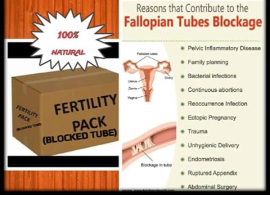 Natural Remedy For Blocked Fallopian Tube Health Nigeria 2368