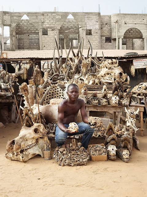 Akodessewa Fetish Market, Lome Togo: The World's Largest Voodoo Market  (Graphic) - Business - Nigeria