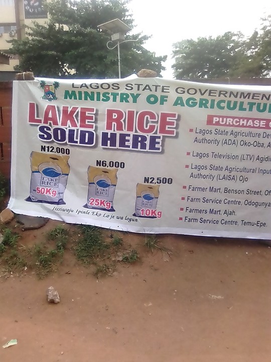 Lake Rice Sold At N12,000 Per Bag In Lagos (Photos) Business Nigeria