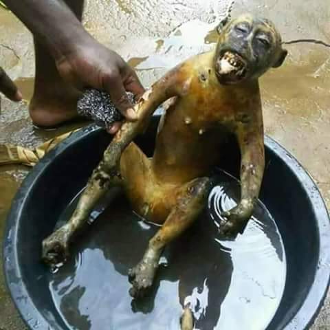 monkey roasted baby eat kills man christmas nairaland killed nigeria food ahead some blasted gets they likes