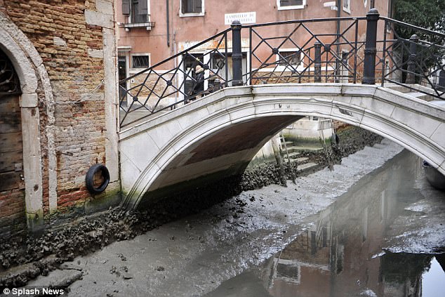 Venice S Famous Canals Dry Up Due Low Tides And Lack Of Rain Photos
