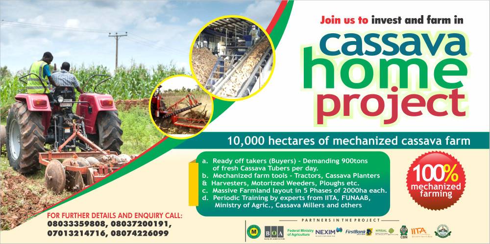 Cassava Home Project - Delta State By Sola Agoro Of 