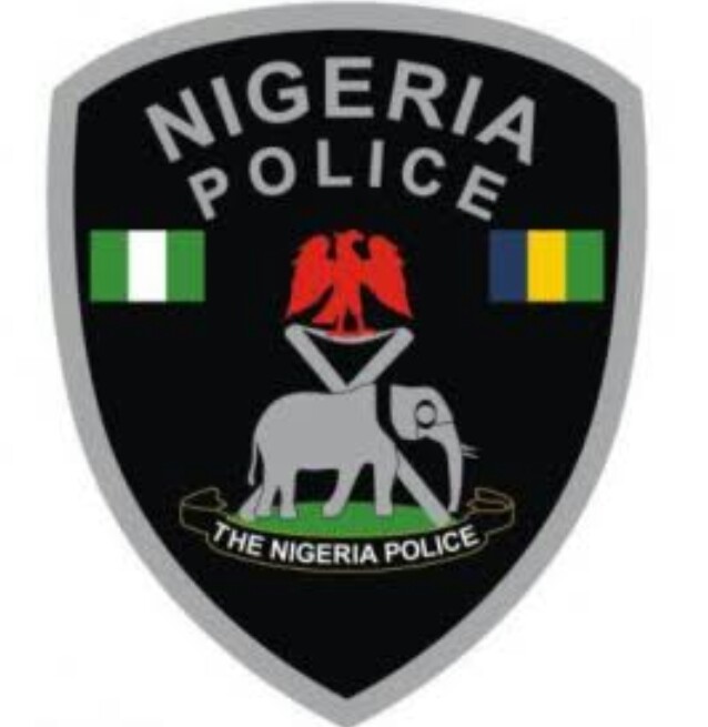 The Nigeria Police Force Politics Nigeria