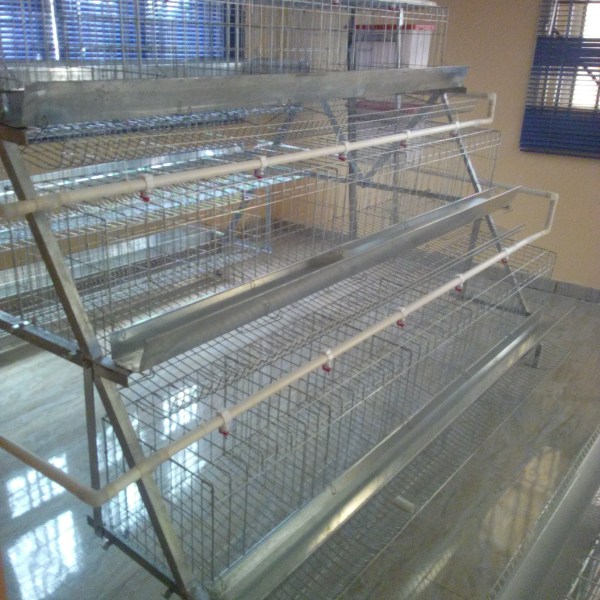 Poultry Battery Cages; Durable Effective And Reliable - Agriculture -  Nigeria