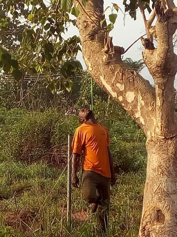 Man Found Dead Hanging On A Tree In Ebonyi (Disturbing Photos) - Crime -  Nigeria