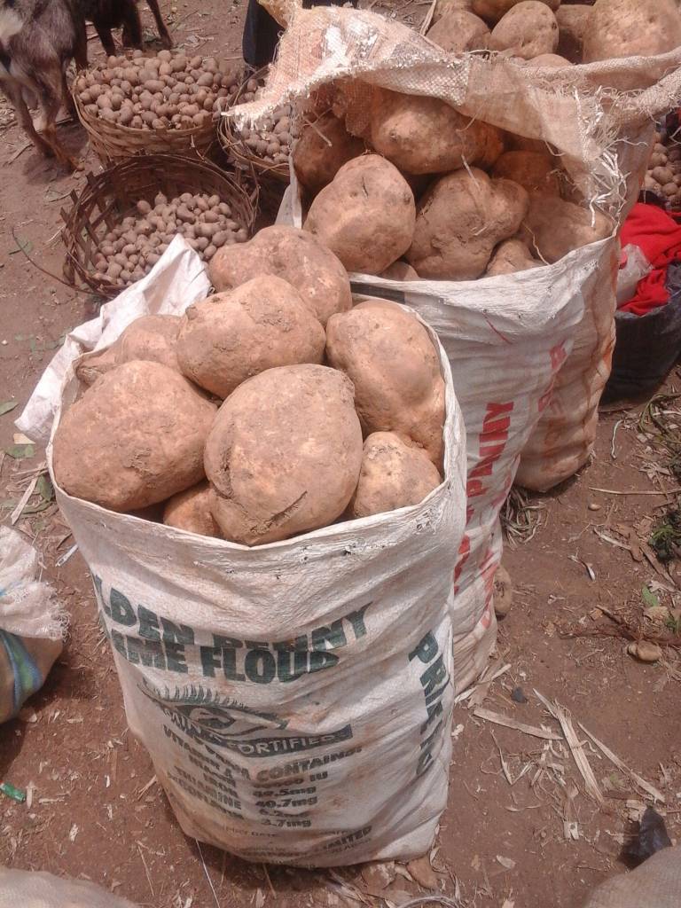 Sweet Potatoes In Large Quantity Agriculture 2 Nigeria