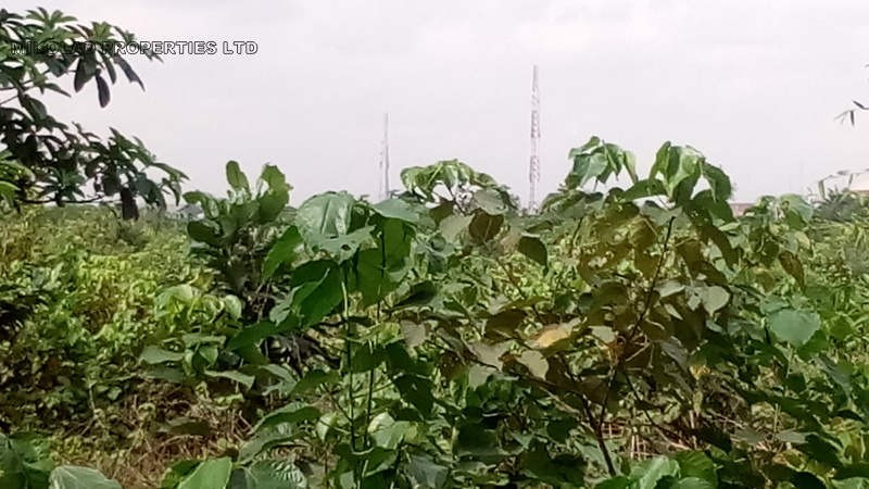 100 acres of Land for Sale in Warewa, beside Citiview Estate Warewa ...