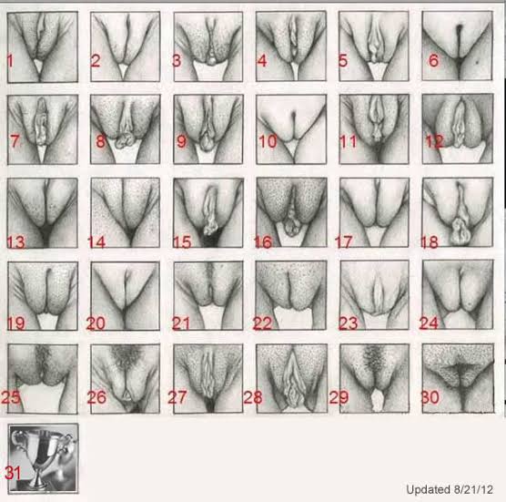 Types Of Vaginas - Which One Do You Have (photos) - Romance - Nigeria