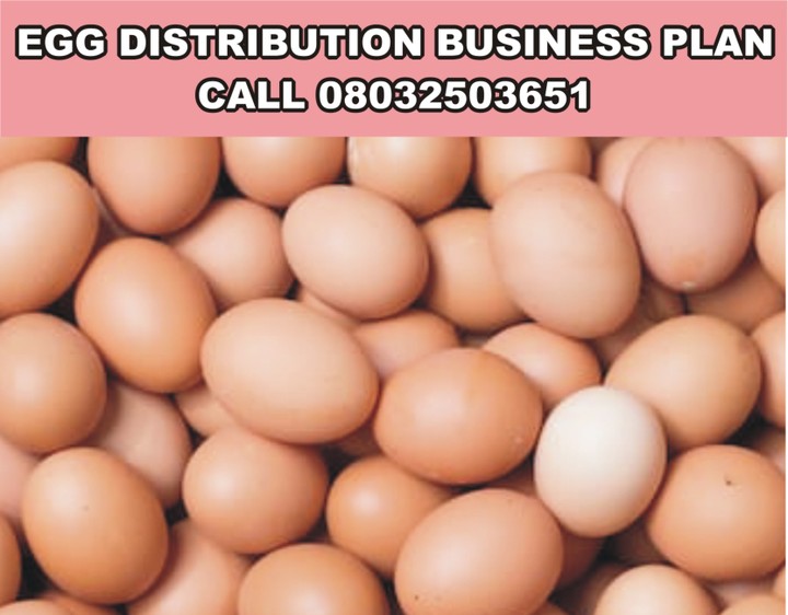 business plan on egg distribution in nigeria