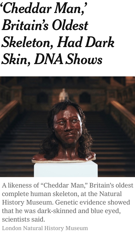 DNA shows first modern Briton had dark skin, blue eyes