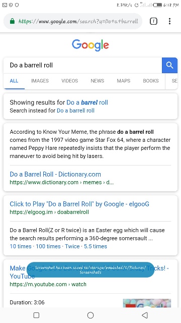 Play Do A Barrel Roll 5.5 Times on Google