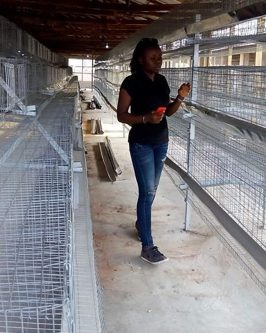 Lets Build A Poultry Farm Business Together - Agriculture - Nigeria